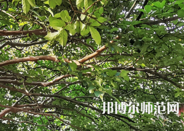 湖南師范大學(xué)2023年報名條件、招生要求、招生對象
