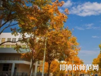 南京師范大學泰州學院2023年報名條件、招生要求、招生對象