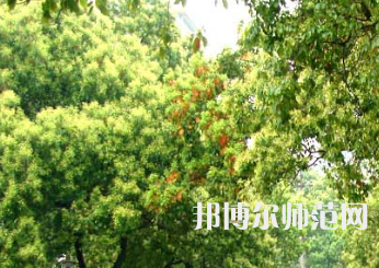 衡陽師范學院南岳學院2023年怎么樣、好不好