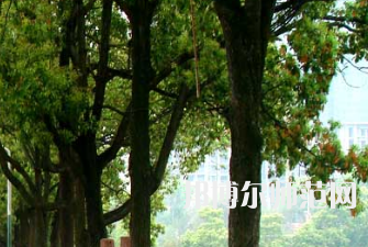 衡陽師范學院南岳學院2023年怎么樣、好不好