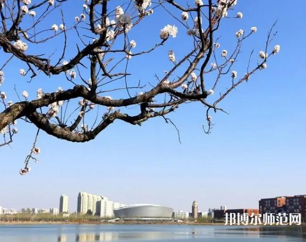 天津理工師范大學(xué)2023年報(bào)名條件、招生要求、招生對(duì)象