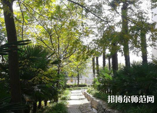 西北大學(xué)師范學(xué)院桃園校區(qū)2023年怎么樣、好不好
