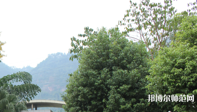 自貢大安幼師職業(yè)技術(shù)學(xué)校2023年學(xué)費(fèi)、收費(fèi)多少
