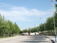西北大學(xué)師范學(xué)院太白校區(qū)2023年報(bào)名條件、招生要求、招生對(duì)象