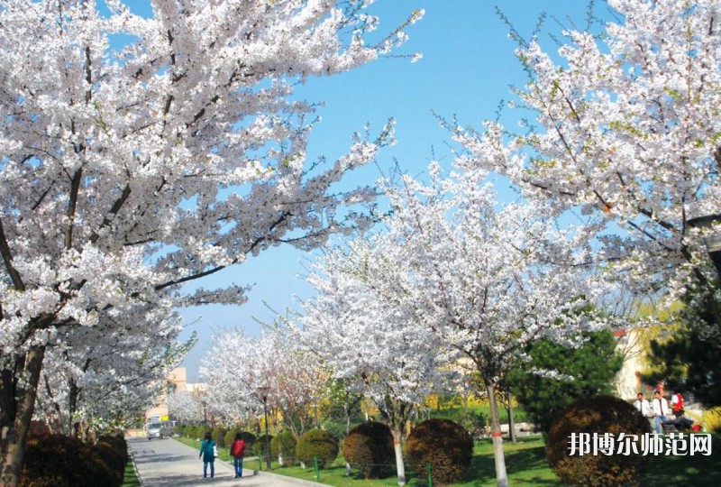 西安思源師范學(xué)院歷年招生錄取分?jǐn)?shù)線(xiàn)