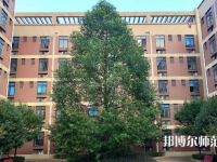 四川師范大學成都學院眉山校區(qū)2023年怎么樣、好不好