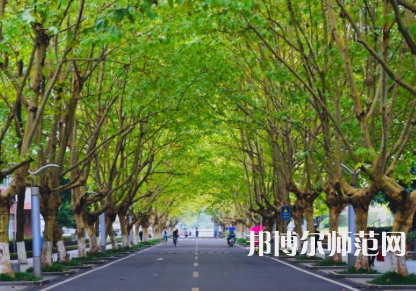 四川農業(yè)師范大學雅安校區(qū)2023年怎么樣、好不好