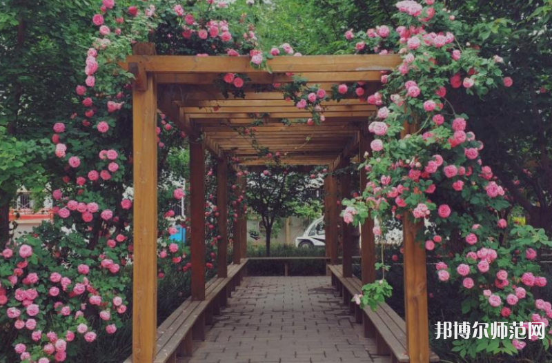 西安工業(yè)師范大學(xué)2023年報(bào)名條件、招生要求、招生對(duì)象