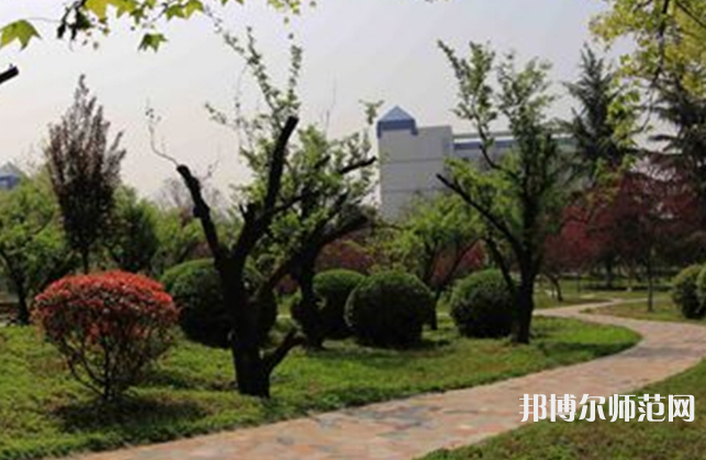 西安文理師范學(xué)院2023年有哪些專(zhuān)業(yè)