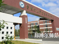 2023年合肥幼兒師范高等?？茖W(xué)校是民辦大學(xué)還是公辦