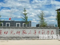 2023年保定幼兒師范高等?？茖W校是民辦大學還是公辦