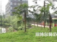 2023年瀘州天宇幼師中等職業(yè)技術(shù)學(xué)校報名條件、招生對象