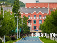 2023年貴陽幼兒師范高等?？茖W校舞蹈表演專業(yè)介紹